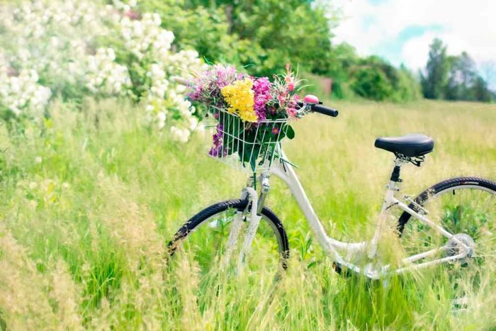 Bicyclette fleurie dans un champ en été